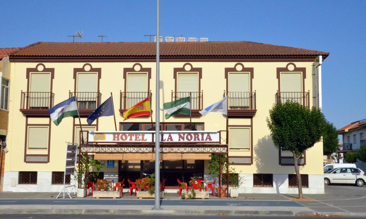 Hotel La Noria Lepe Eksteriør billede